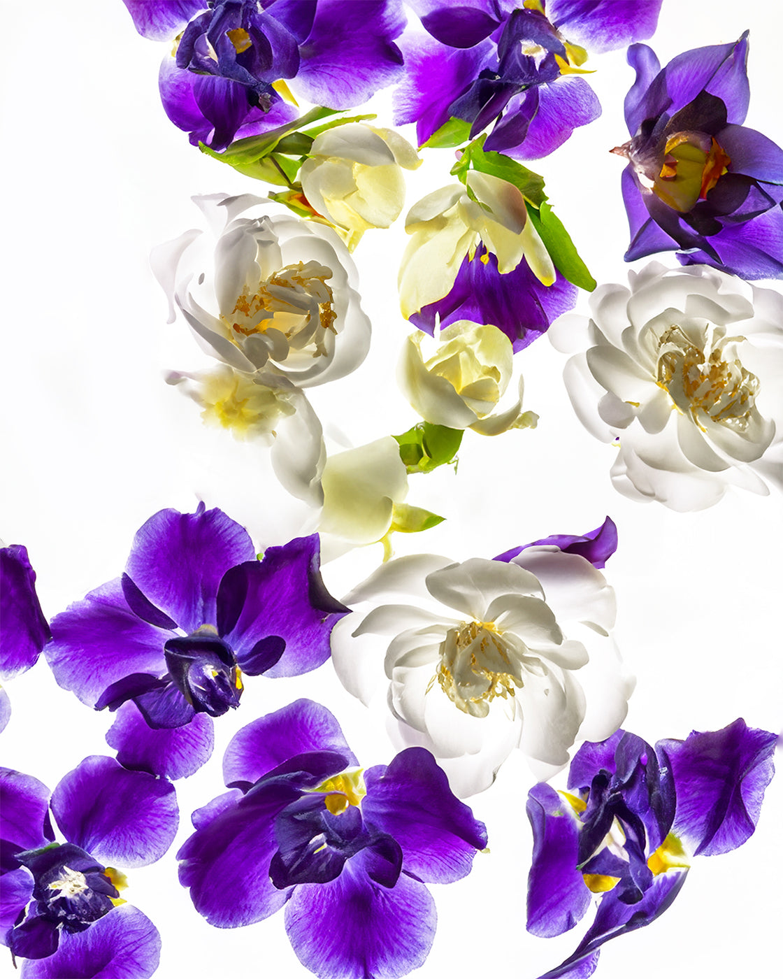 BOMBAY FLEUR - Perfume Oil